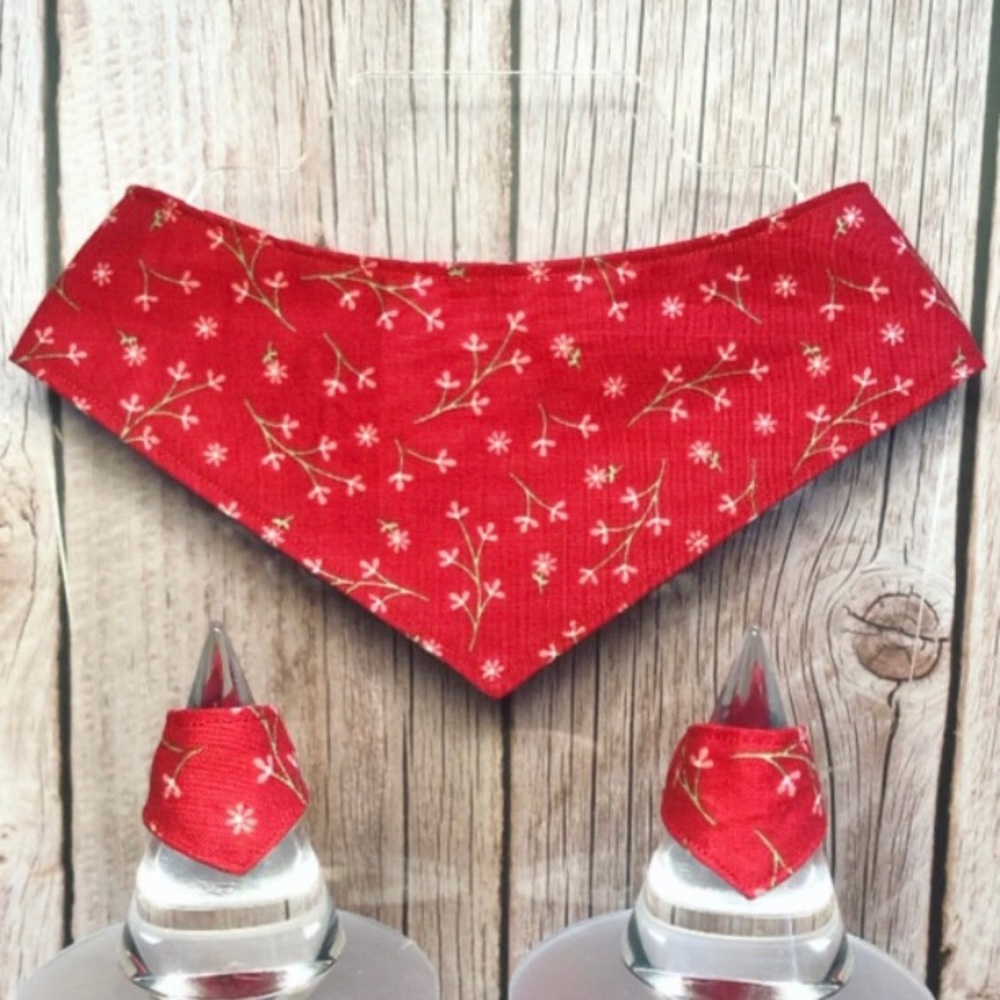 Paw Piece Set ❣️